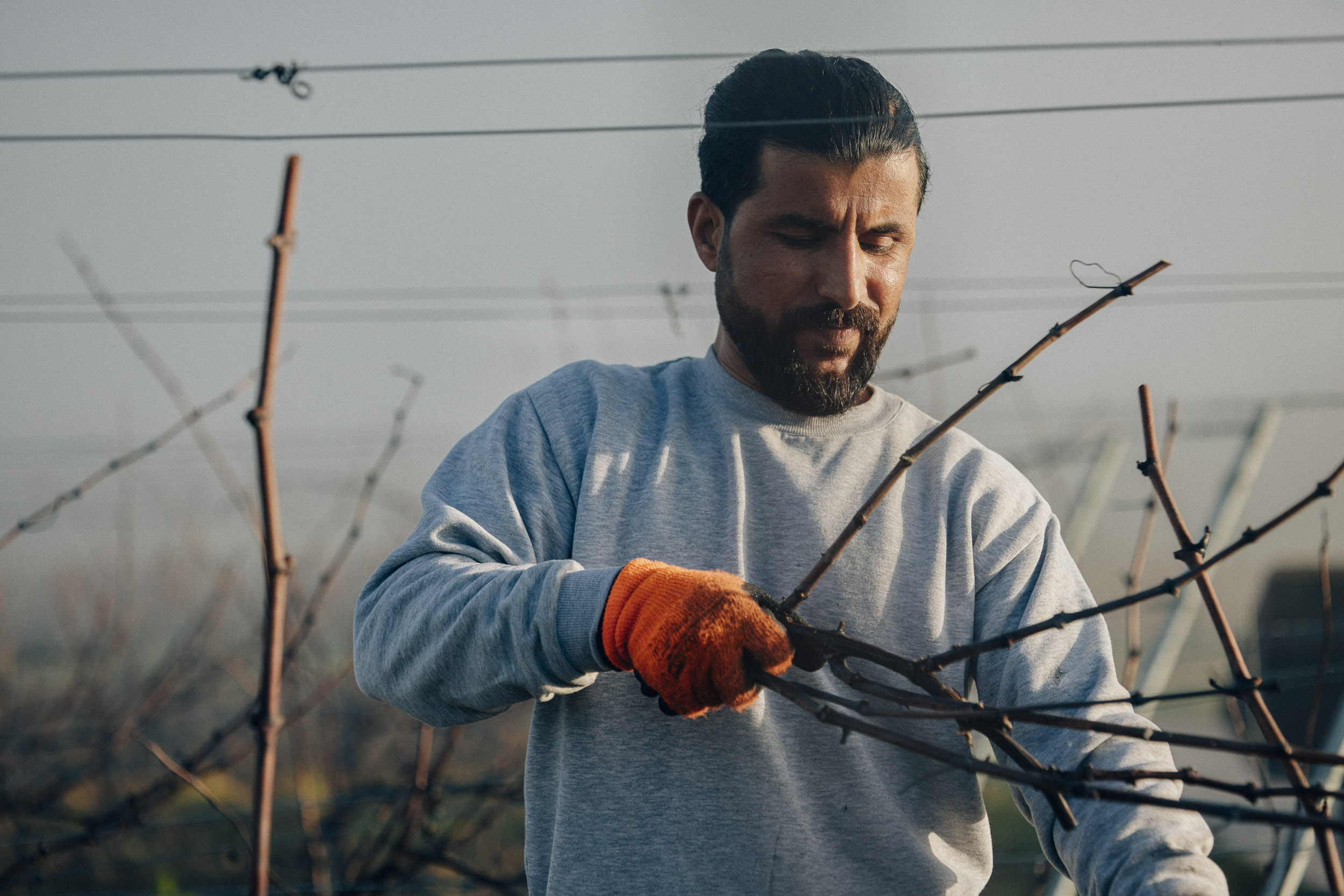 Karim Mohammadi